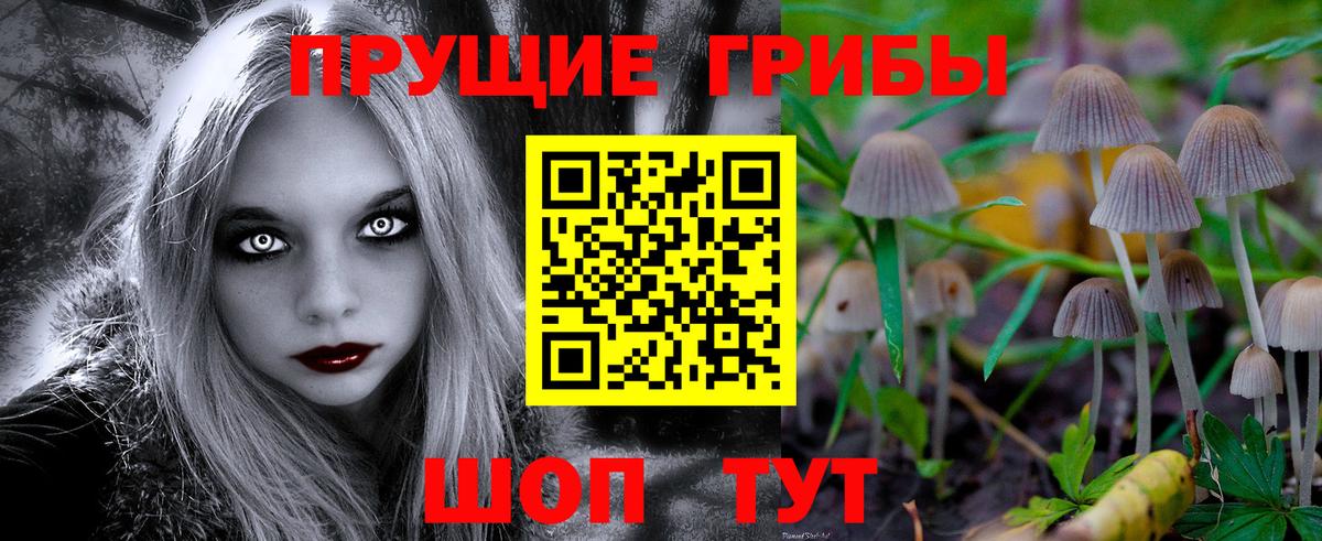 Галлюциногенные грибы Magic Shrooms Новосибирск