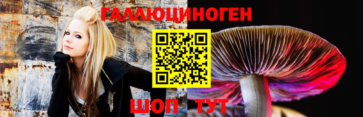 Псилоцибиновые грибы Magic Shrooms  где найти   Новосибирск  Вход с VPN 